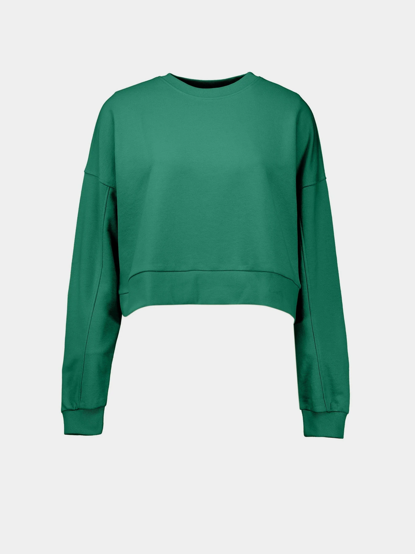 Худи и свитшоты Piazza Italia модель 03255_green Худи и свитшоты Piazza Italia модель 03255_green Фото