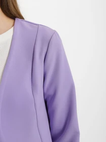 Пиджаки Piazza Italia модель 16628_lilac Фото