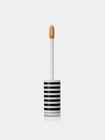 Консилер рідкий Cover Up Liquid Concealer PRETTY модель 8690604458400 Фото