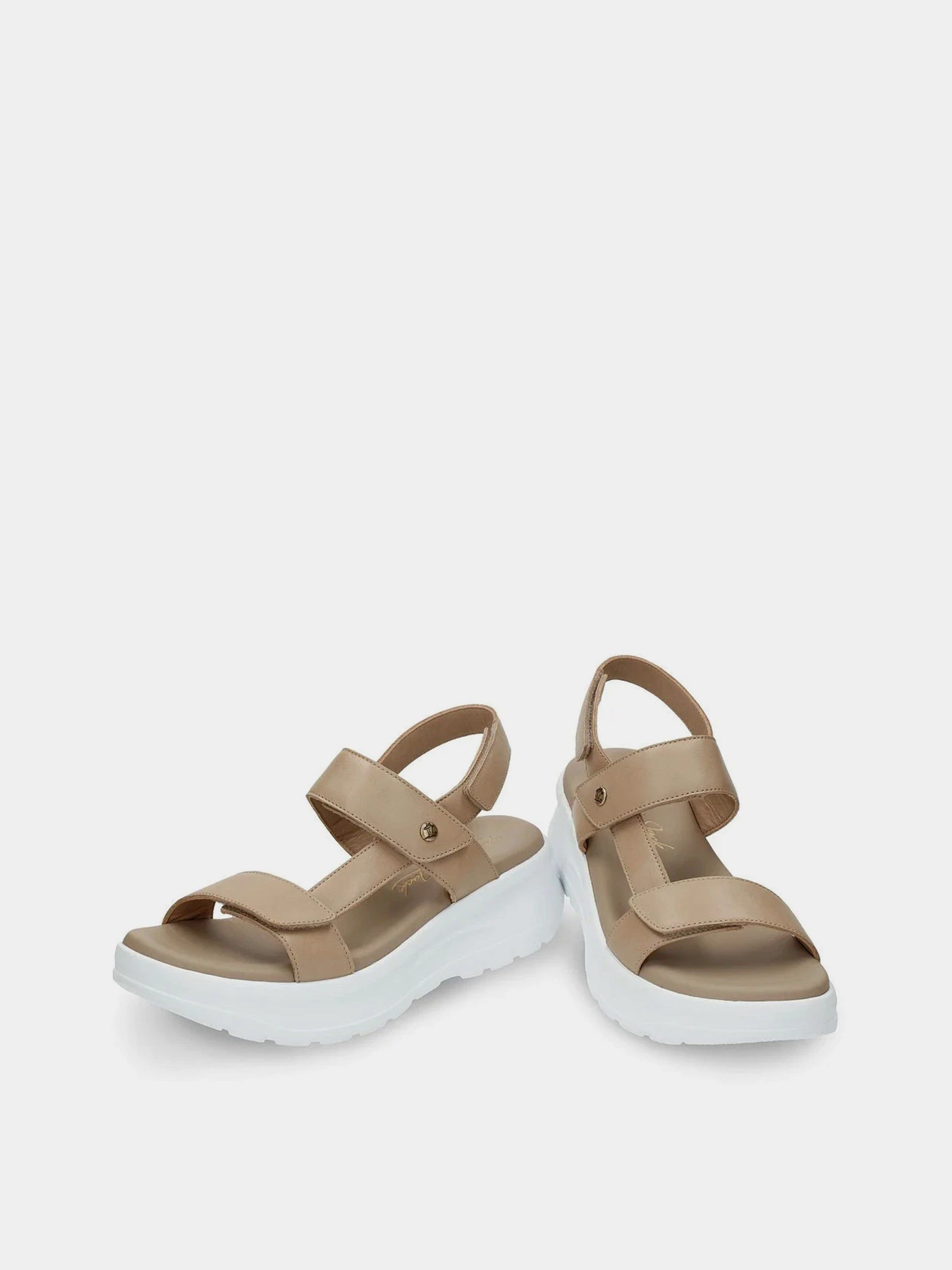 Сандалии Panama Jack модель NOOR B4 Сандалии Panama Jack модель NOOR B4 Фото
