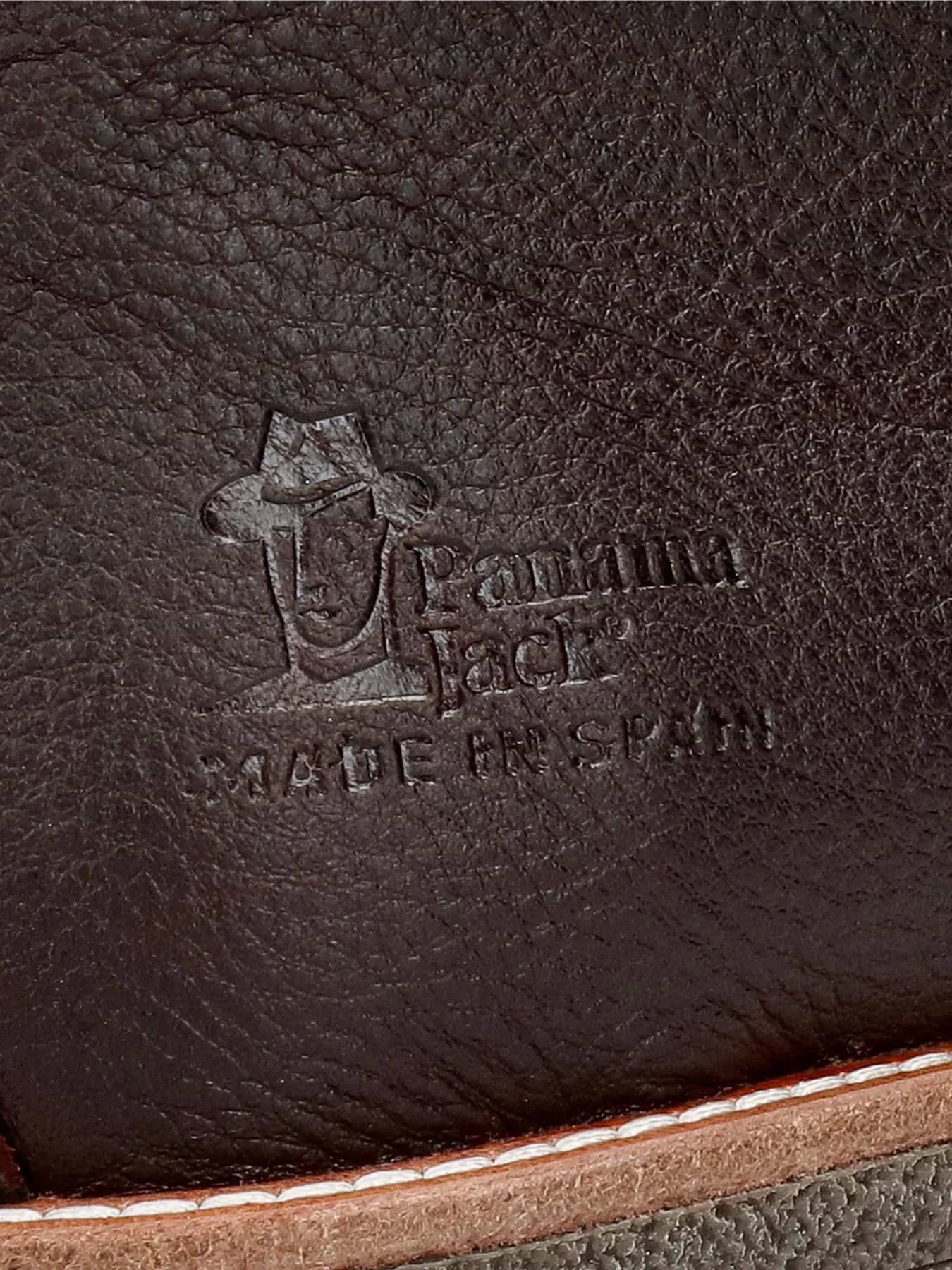 Черевики та чоботи Panama Jack модель Gael C9 Фото