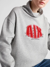 Худи и свитшоты Armani Exchange модель 6HYM18-YJ4CZ-3911 Фото