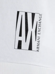 Худи и свитшоты Armani Exchange модель 6HYM72-YJ3AZ-1100 Фото