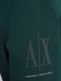 Брюки Armani Exchange модель 8NYPDX-YJ68Z-1813 Фото