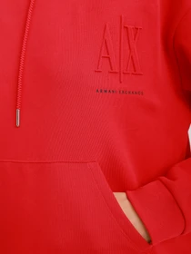 Худи и свитшоты Armani Exchange модель 8NYM23-YJ68Z-1492 Фото