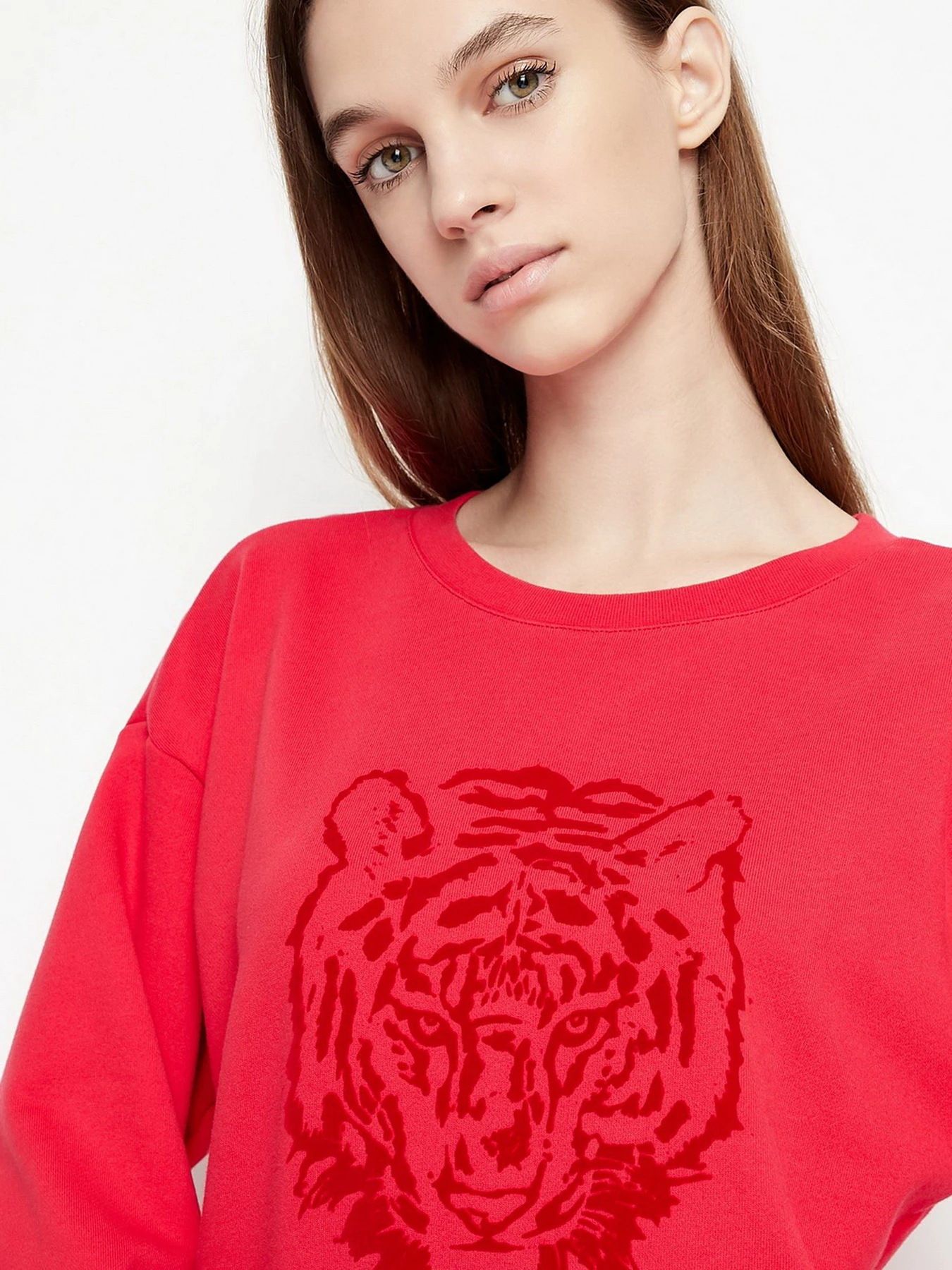 Худи и свитшоты Armani Exchange модель 3LYM70-YJ68Z-14AC Худи и свитшоты Armani Exchange модель 3LYM70-YJ68Z-14AC Фото