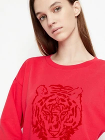Худи и свитшоты Armani Exchange модель 3LYM70-YJ68Z-14AC Фото
