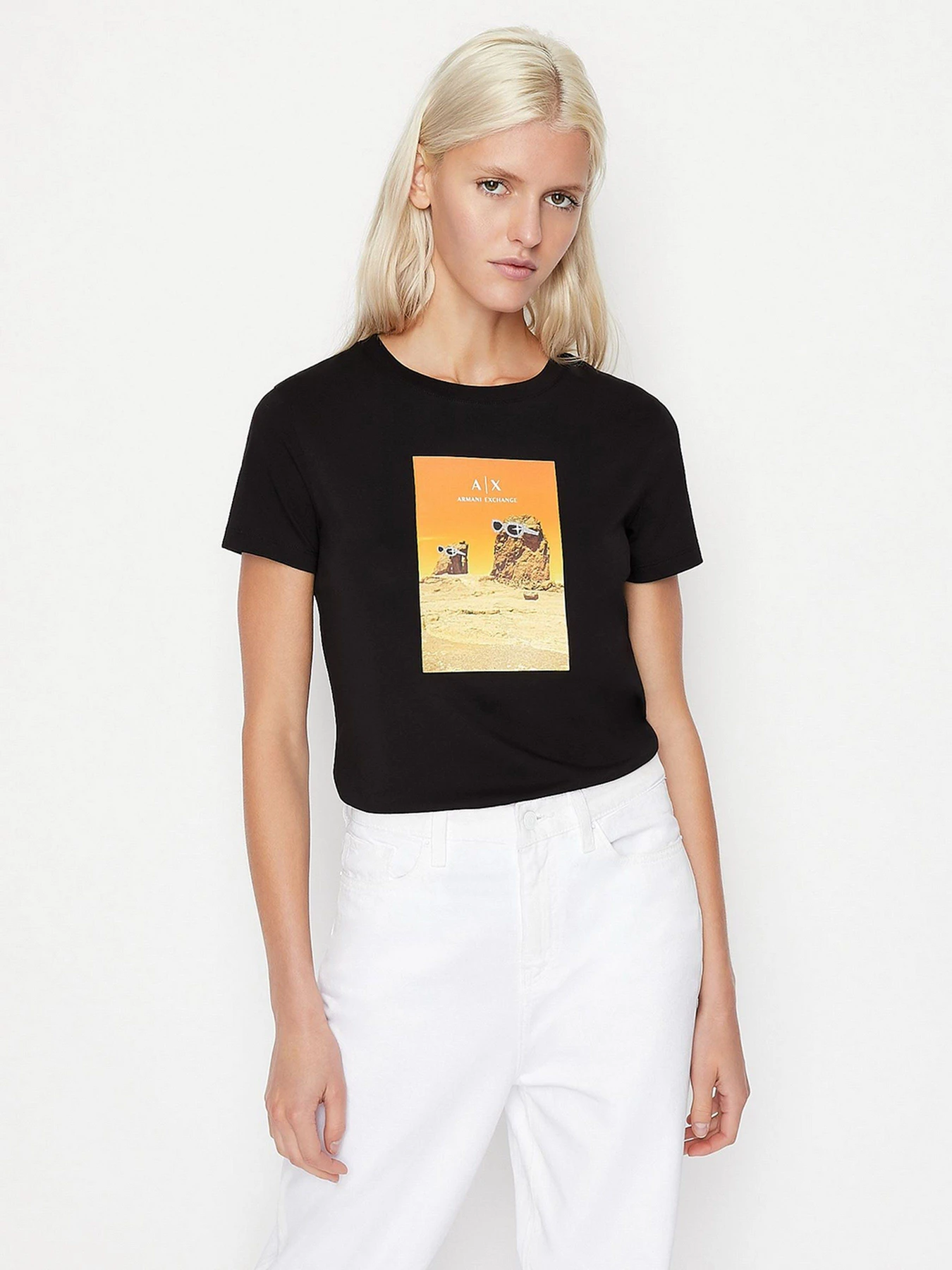 Футболки і поло Armani Exchange модель 3LYTAL-YJ3RZ-1200 Футболки і поло Armani Exchange модель 3LYTAL-YJ3RZ-1200 Фото