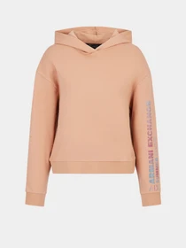 Худі та світшоти Armani Exchange модель 3RYM16-YJCZZ-1799 Фото