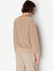 Худи и свитшоты Armani Exchange Campus модель 6RYM44-YJFAZ-0748 Фото