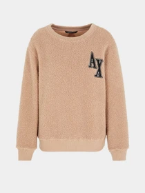 Худи и свитшоты Armani Exchange Campus модель 6RYM44-YJFAZ-0748 Фото