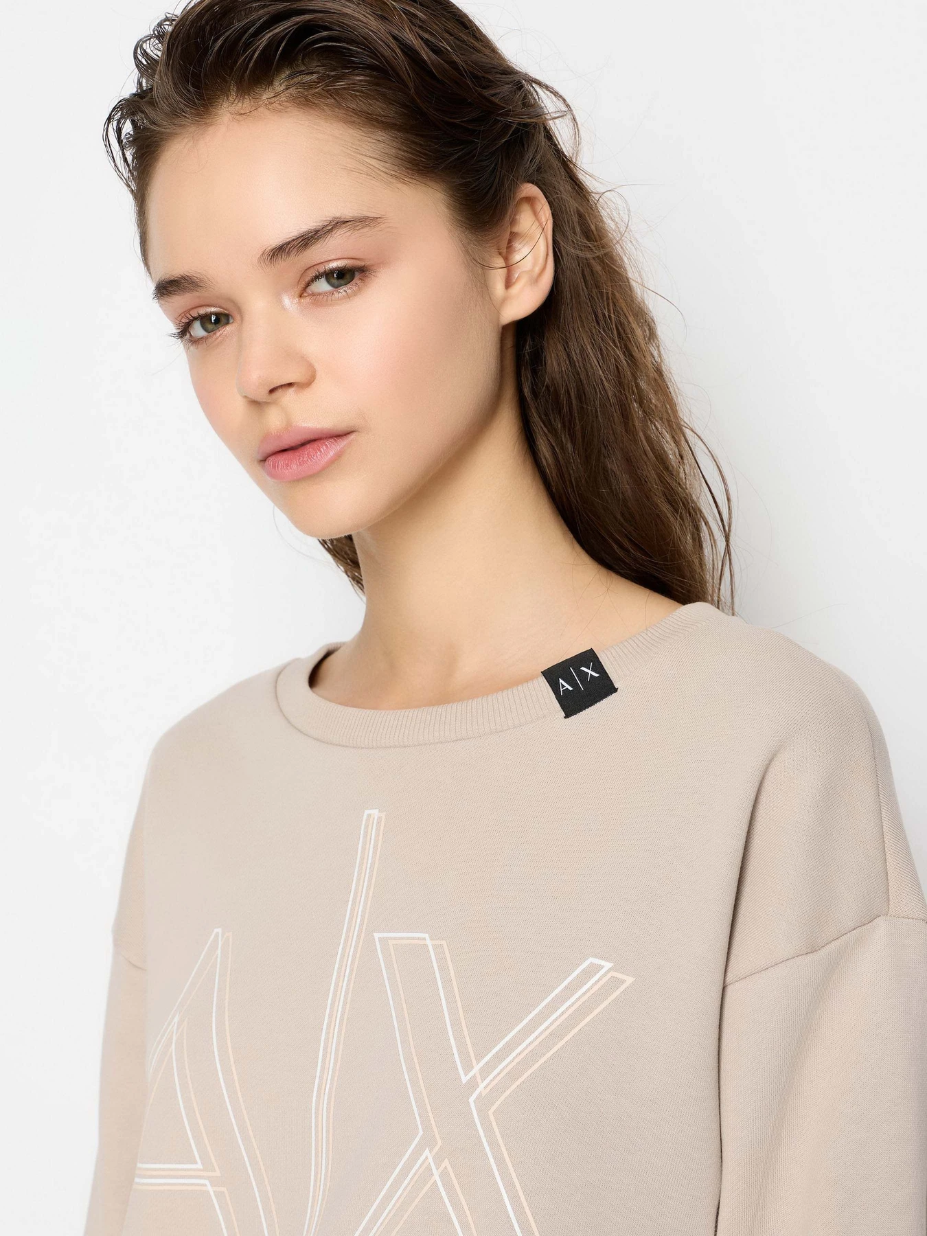 Худі та світшоти Armani Exchange модель 3DYM11-YJEBZ-1786 Худі та світшоти Armani Exchange модель 3DYM11-YJEBZ-1786 Фото