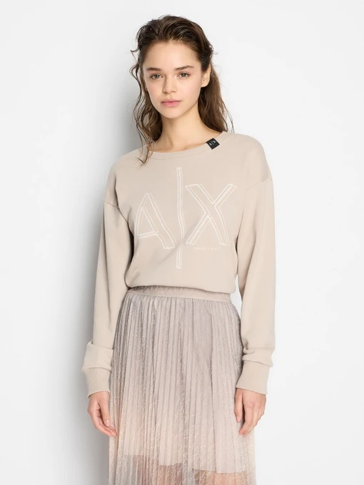 Худи и свитшоты Armani Exchange модель 3DYM11-YJEBZ-1786 Фото