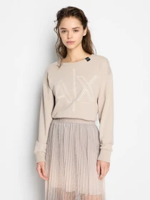 Худи и свитшоты Armani Exchange модель 3DYM11-YJEBZ-1786 Фото