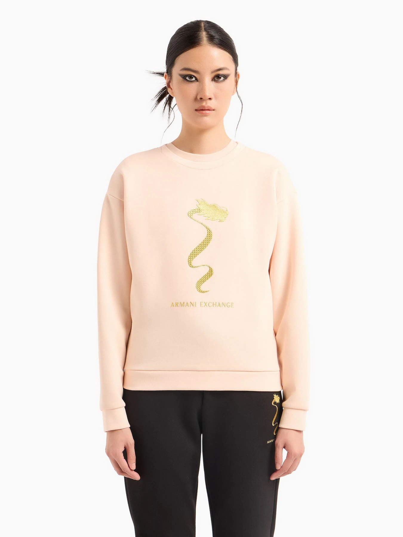 Худі та світшоти Armani Exchange Chinese New Year модель 3DYM40-YJU1Z-14BD Худі та світшоти Armani Exchange Chinese New Year модель 3DYM40-YJU1Z-14BD Фото