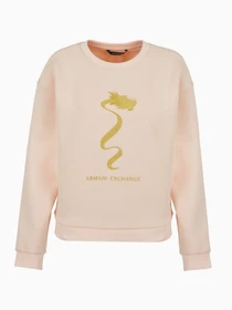 Худі та світшоти Armani Exchange Chinese New Year модель 3DYM40-YJU1Z-14BD Фото