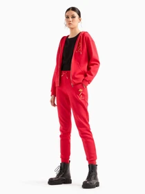 Худі та світшоти Armani Exchange Chinese New Year модель 3DYM41-YJU1Z-1469 Фото