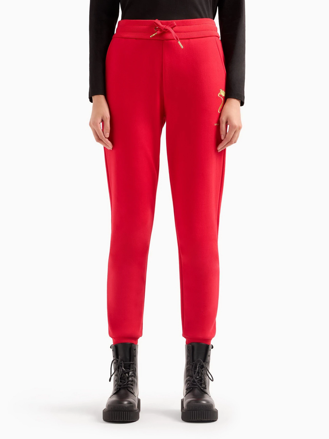 Брюки Armani Exchange Chinese New Year модель 3DYP40-YJU1Z-1469 Фото