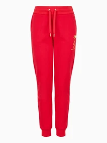 Брюки Armani Exchange Chinese New Year модель 3DYP40-YJU1Z-1469 Фото