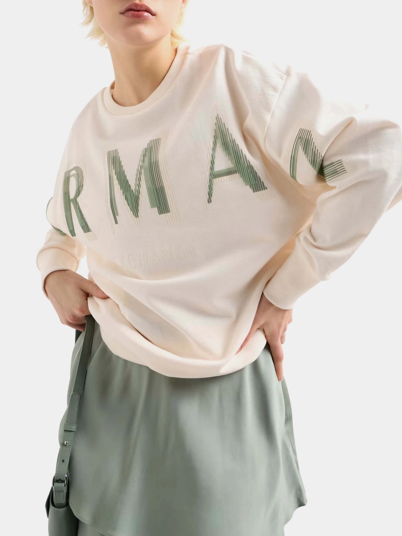 Худі та світшоти Armani Exchange модель XW000495-AF12739-U1003 Худі та світшоти Armani Exchange модель XW000495-AF12739-U1003 Фото