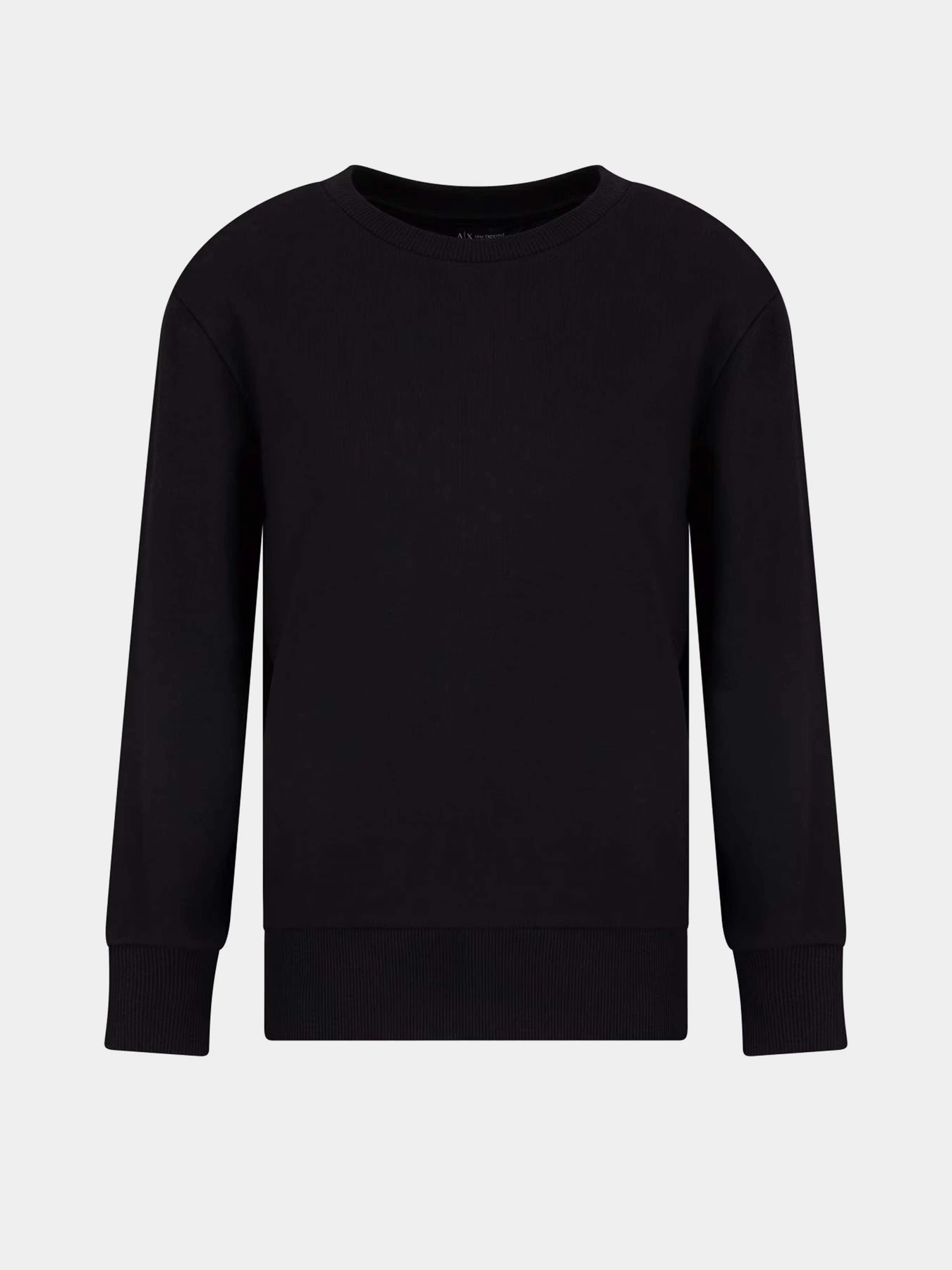 Худи и свитшоты Armani Exchange модель XW000499-AF12804-UC001 Худи и свитшоты Armani Exchange модель XW000499-AF12804-UC001 Фото