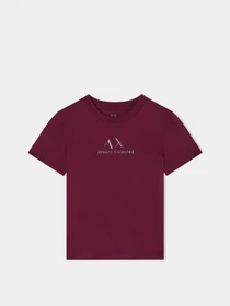 Футболки и поло Armani Exchange модель XW001345-AF16356-UA343 Фото
