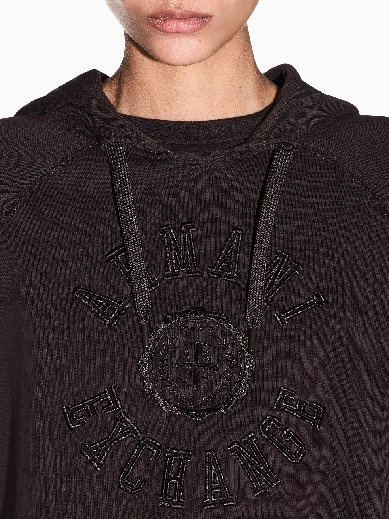 Худі та світшоти Armani Exchange модель XW002657-AF25527-U6032 Худі та світшоти Armani Exchange модель XW002657-AF25527-U6032 Фото