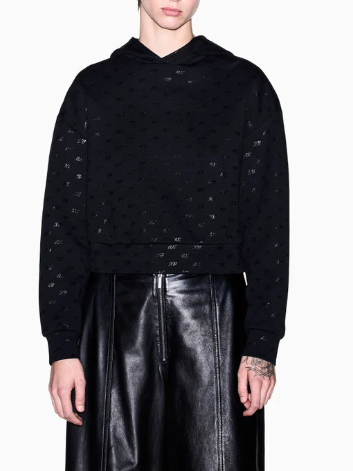 Худи и свитшоты Armani Exchange модель XW002747-AF24095-FC241 Фото