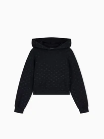 Худі та світшоти Armani Exchange модель XW002747-AF24095-FC241 Фото