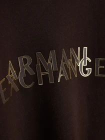 Худи и свитшоты Armani Exchange модель XW002402-AF25528-U6032 Фото