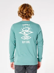 Худи и свитшоты Rip Curl Search Icon модель CTESF9-8088 Фото