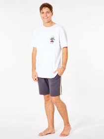 Шорти Rip Curl SURF Revival Volley модель CWAOF9-8264 Фото