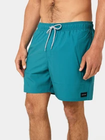 Одежда для пляжа Rip Curl Daily Volley модель 04FMBO-8153 Зелений Фото