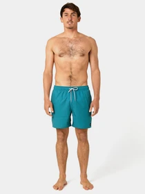 Одежда для пляжа Rip Curl Daily Volley модель 04FMBO-8153 Зелений Фото