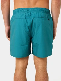 Одежда для пляжа Rip Curl Daily Volley модель 04FMBO-8153 Зелений Фото