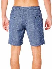 Шорти Rip Curl Boardwalk Jackson Volley модель CWARA9-49 Синій Фото