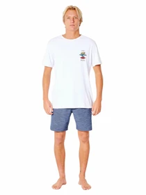 Шорти Rip Curl Boardwalk Jackson Volley модель CWARA9-49 Синій Фото