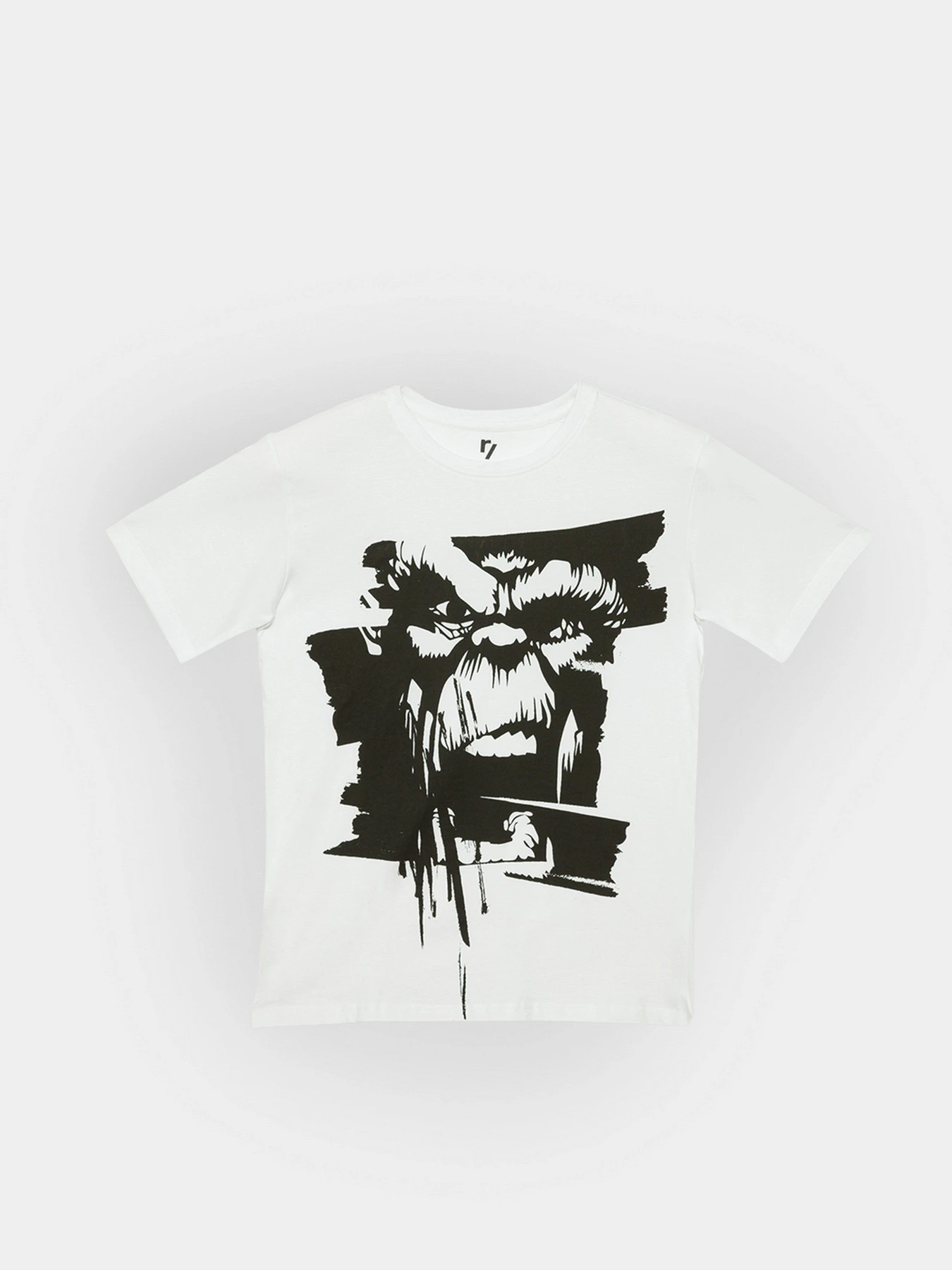 Футболки и поло Reporter Young Rebel Brush модель 221-0440B-02-200-1 Футболки и поло Reporter Young Rebel Brush модель 221-0440B-02-200-1 Фото