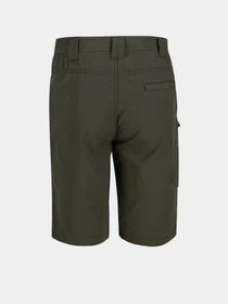 Шорти Regatta Delgado модель RMJ228-41C Фото