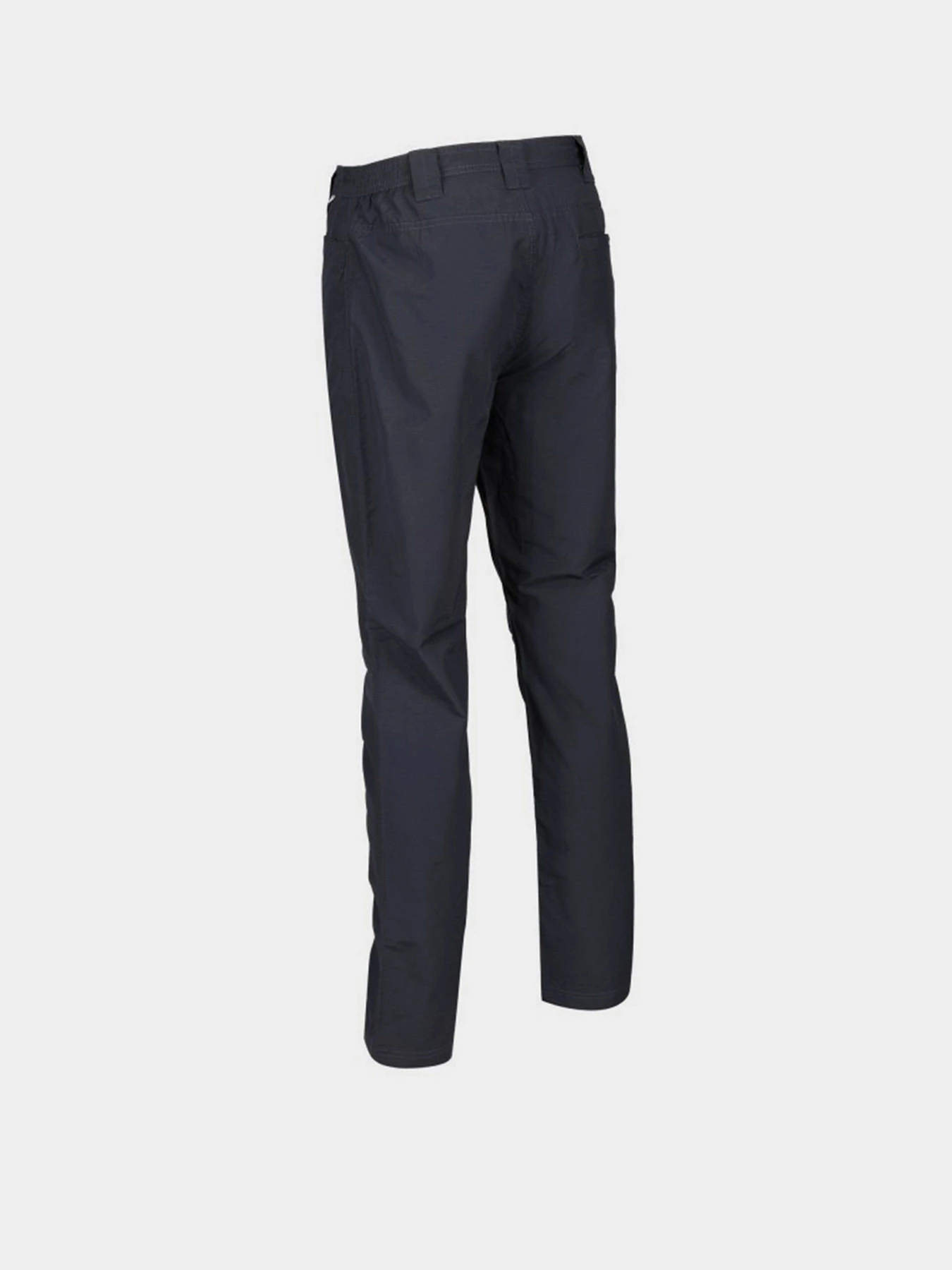 Брюки Regatta Delgado модель RMJ231R-038 Брюки Regatta Delgado модель RMJ231R-038 Фото