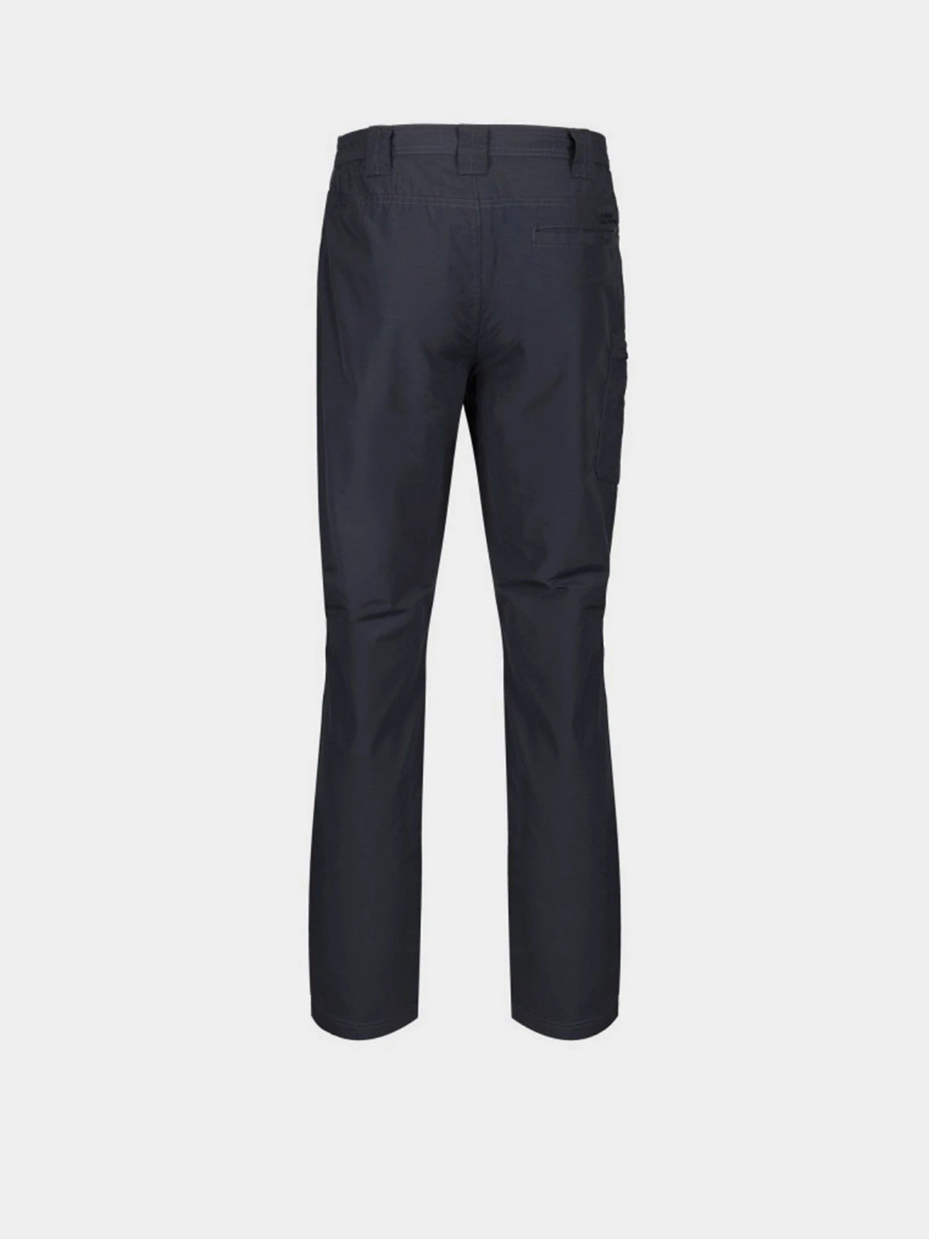 Брюки Regatta Delgado модель RMJ231R-038 Брюки Regatta Delgado модель RMJ231R-038 Фото