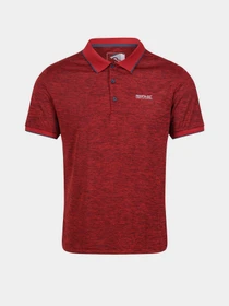 Футболки и поло Regatta Remex II модель RMT186-657 Фото