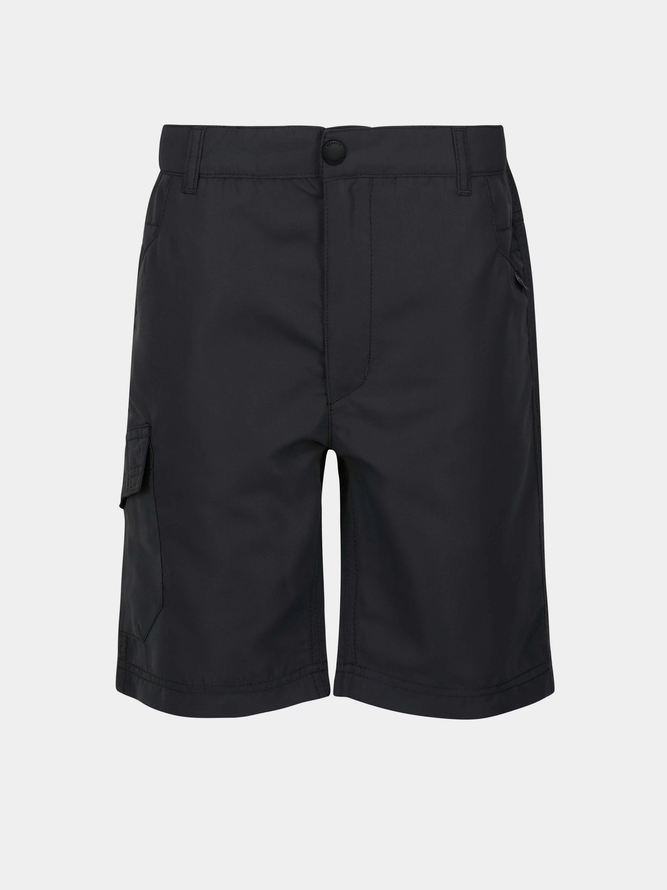 Шорты Regatta Sorcer Shorts II модель RKJ106-038 Сірий Фото