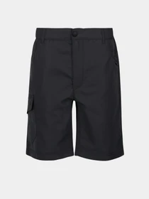 Шорты Regatta Sorcer Shorts II модель RKJ106-038 Сірий Фото