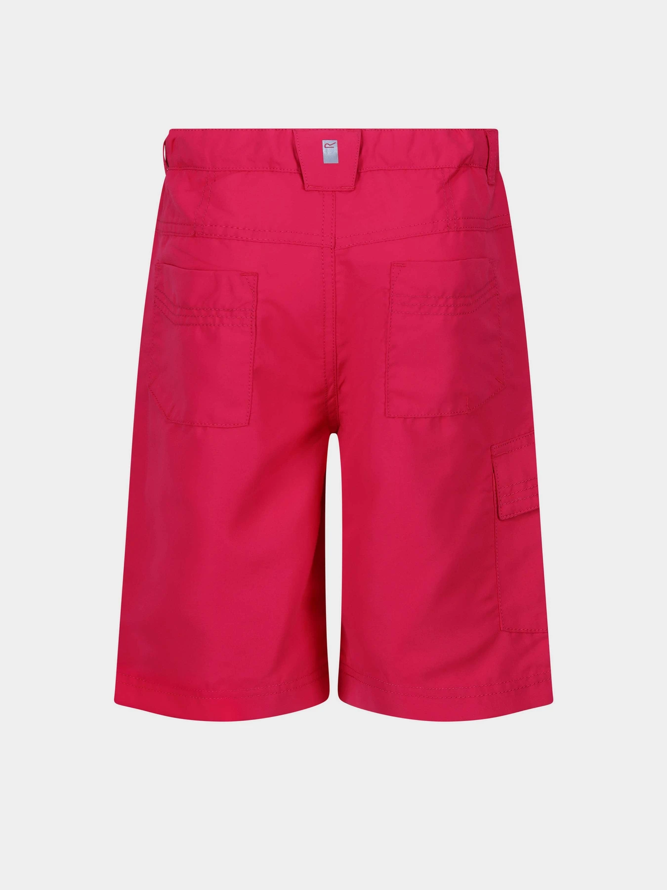 Шорты Regatta Sorcer Shorts II модель RKJ106-D4D Рожевий Шорты Regatta Sorcer Shorts II модель RKJ106-D4D Рожевий Фото