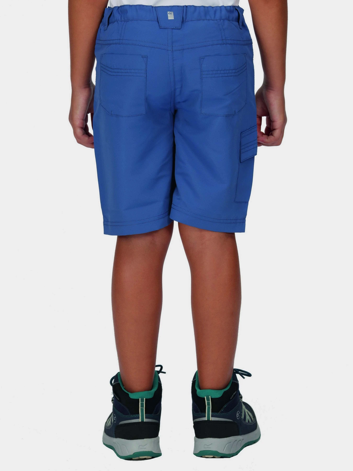 Шорты Regatta Sorcer Shorts II модель RKJ106-K16 Синій Фото