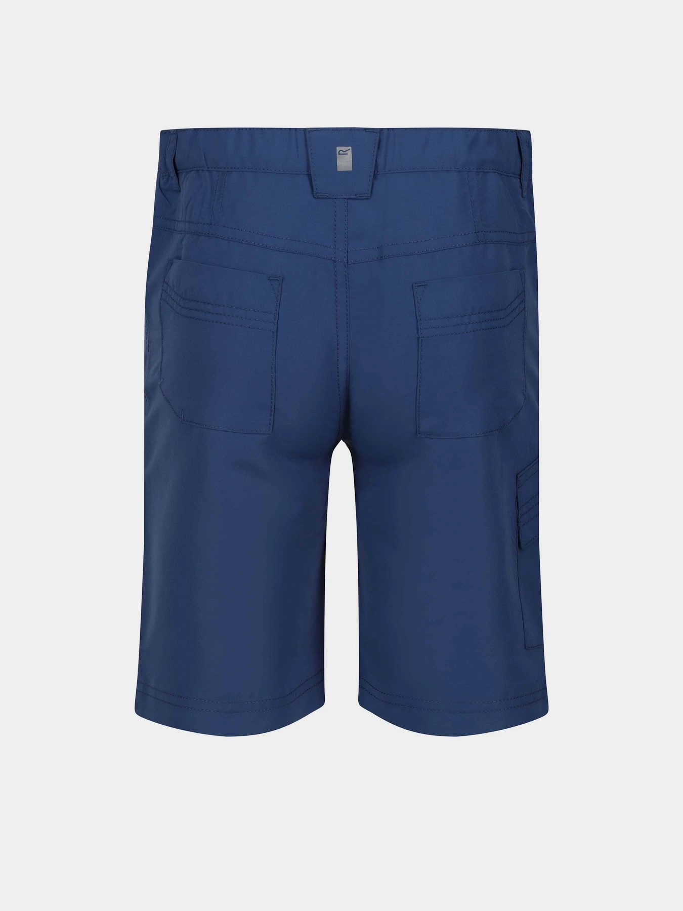 Шорты Regatta Sorcer Shorts II модель RKJ106-K16 Синій Фото