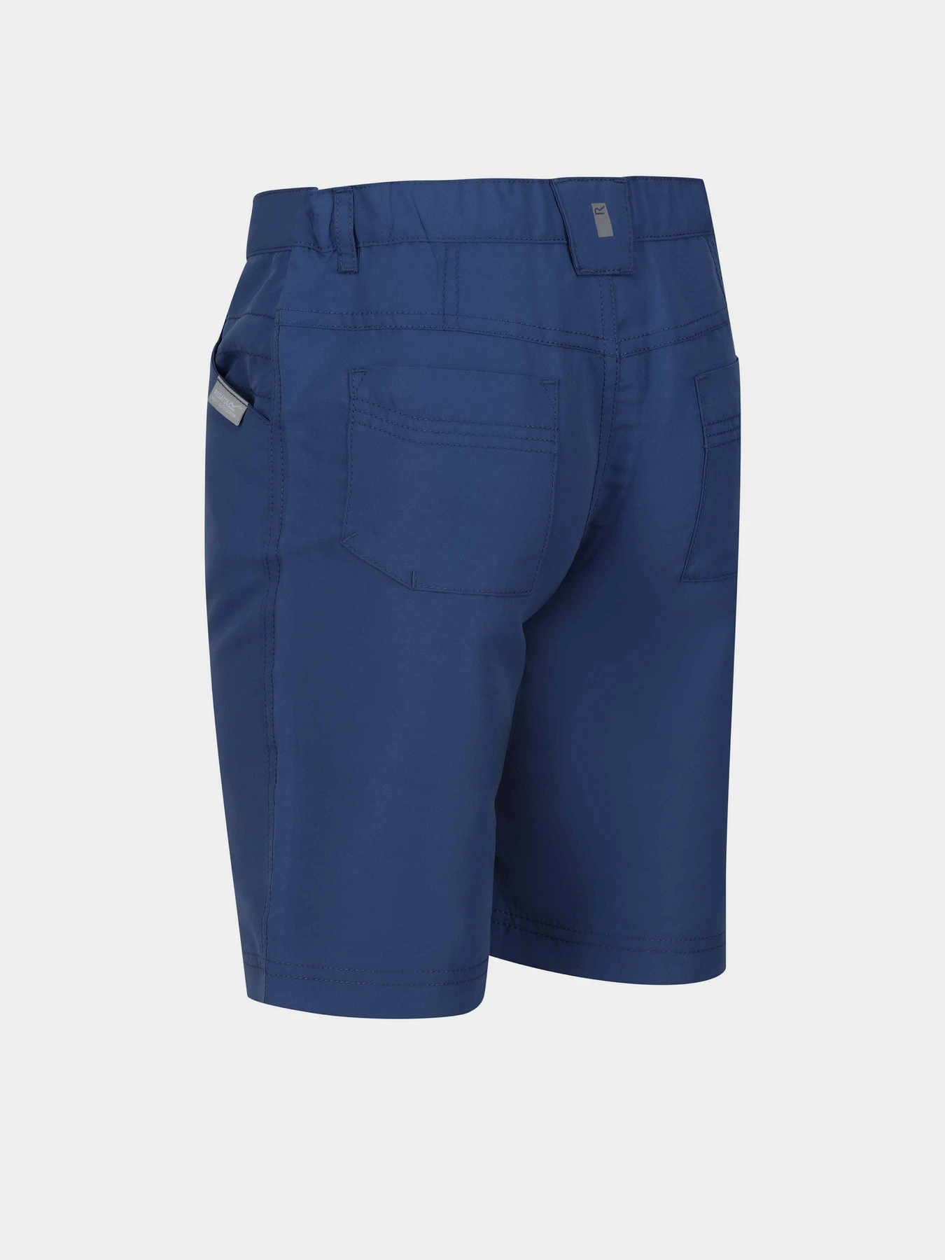 Шорты Regatta Sorcer Shorts II модель RKJ106-K16 Синій Фото