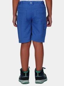 Шорты Regatta Sorcer Shorts II модель RKJ106-K16 Синій Фото