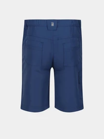 Шорты Regatta Sorcer Shorts II модель RKJ106-K16 Синій Фото